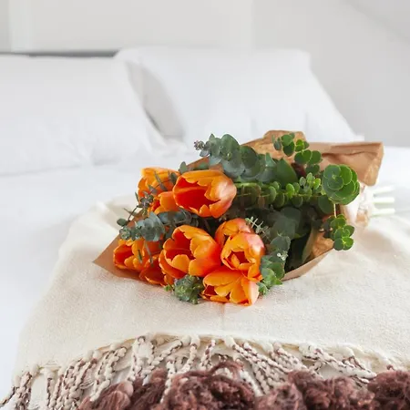 Embaixador Apartments&suites Appartement *